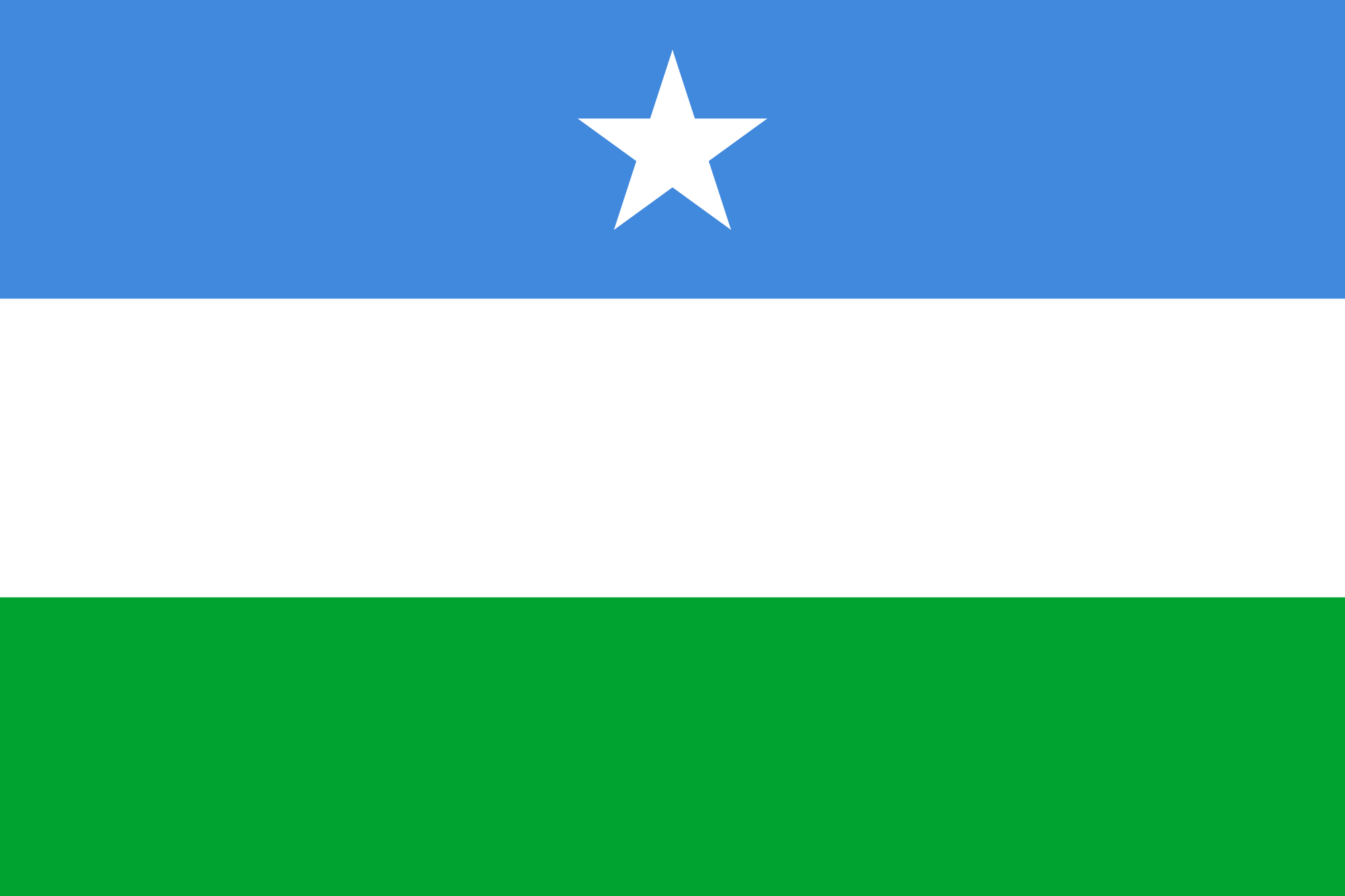 Image Flag